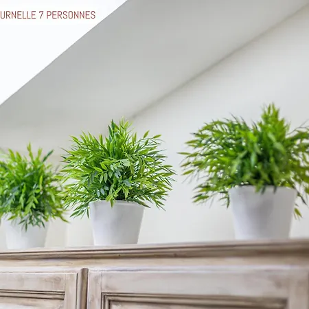 Le Passage 4* Καρκασόν