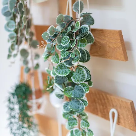 住宿加早餐酒店 Le Passage 4*