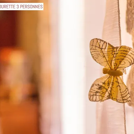 Le Passage 住宿加早餐酒店 卡尔卡松